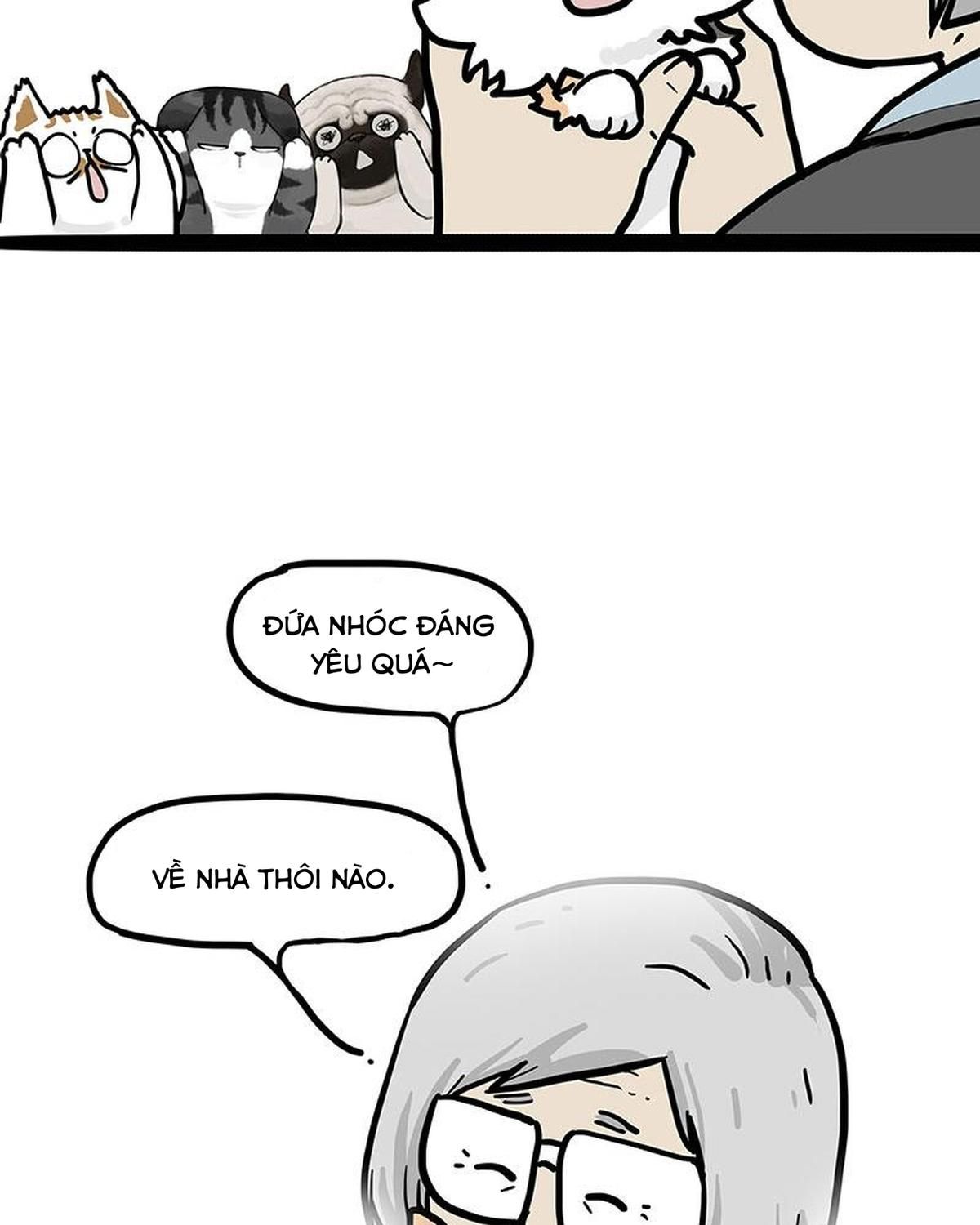 Hoàng Thượng và Ba Trát Hắc: Chapter 404