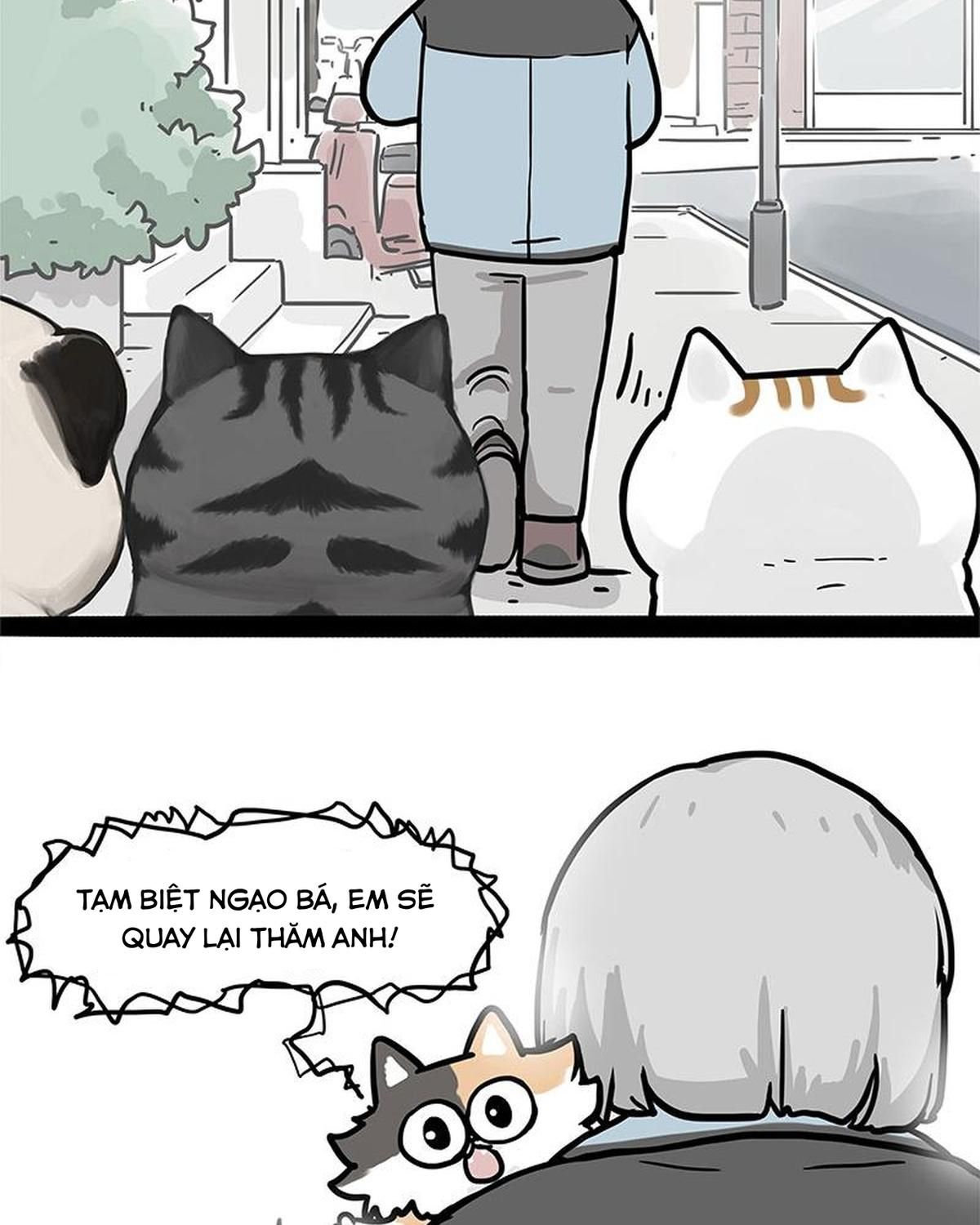 Hoàng Thượng và Ba Trát Hắc: Chapter 404