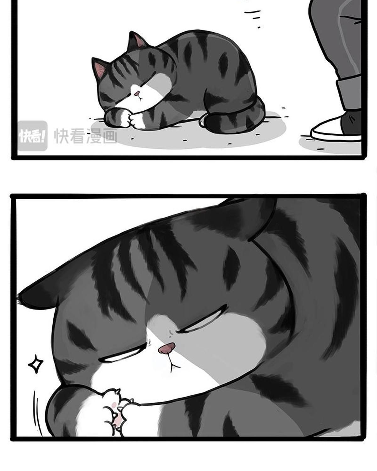 Hoàng Thượng và Ba Trát Hắc: Chapter 404