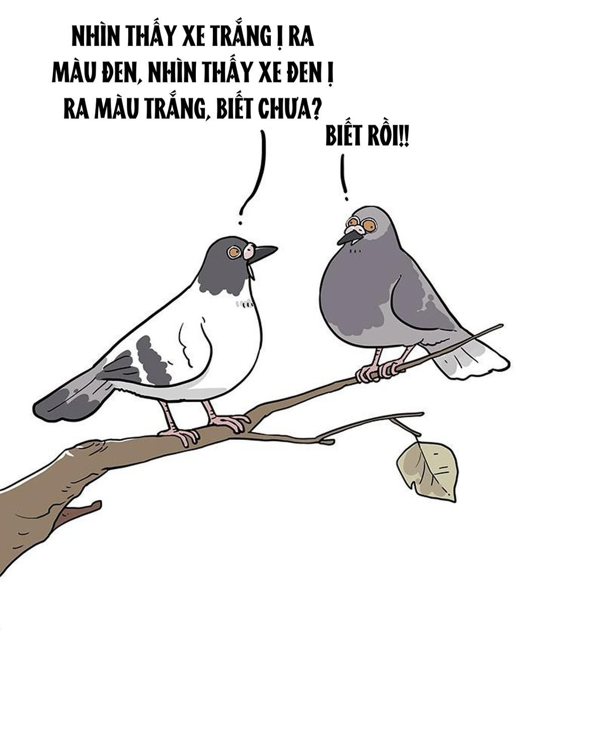 Hoàng Thượng và Ba Trát Hắc: Chapter 405