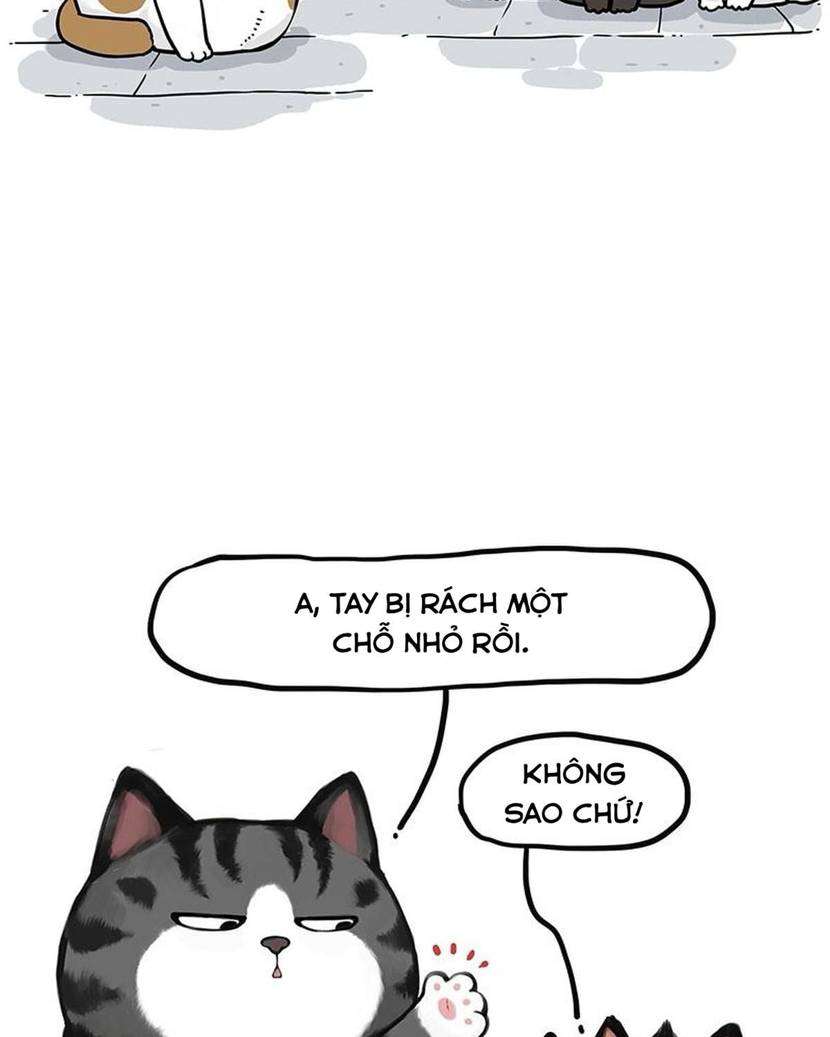 Hoàng Thượng và Ba Trát Hắc: Chapter 405