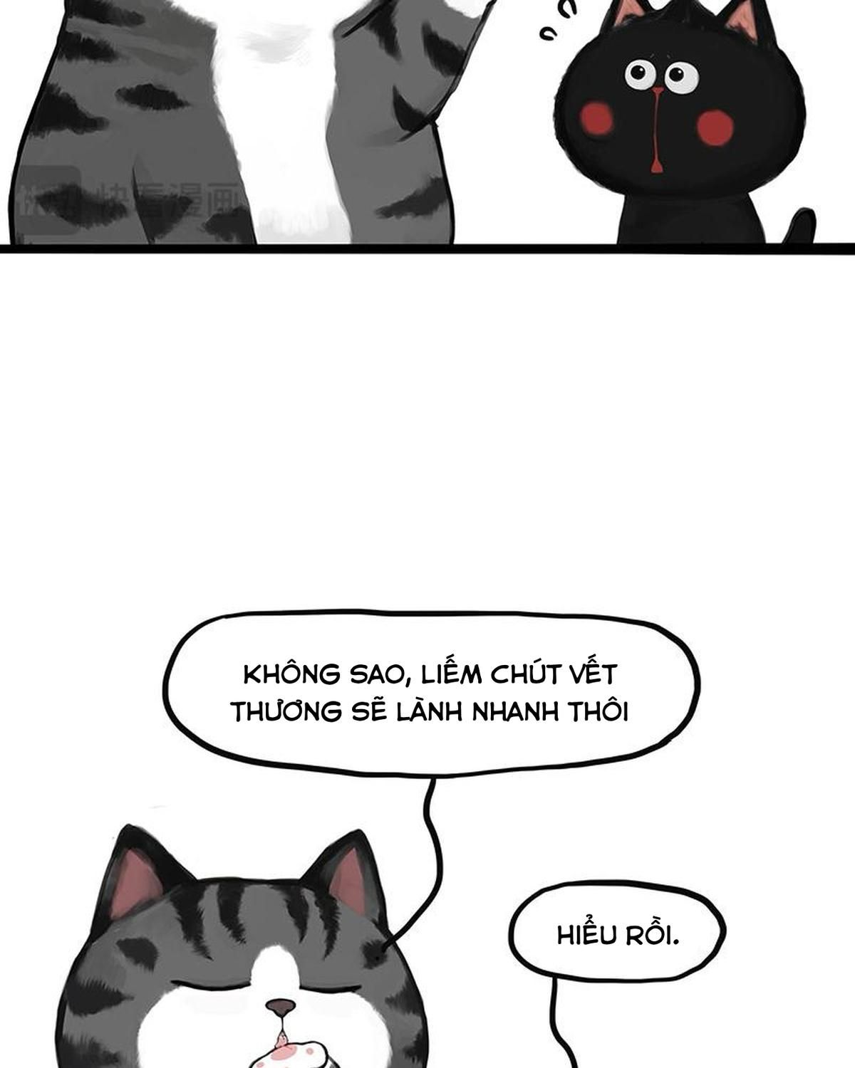 Hoàng Thượng và Ba Trát Hắc: Chapter 405