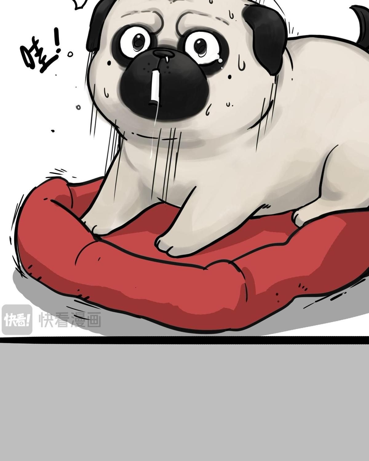 Hoàng Thượng và Ba Trát Hắc: Chapter 411