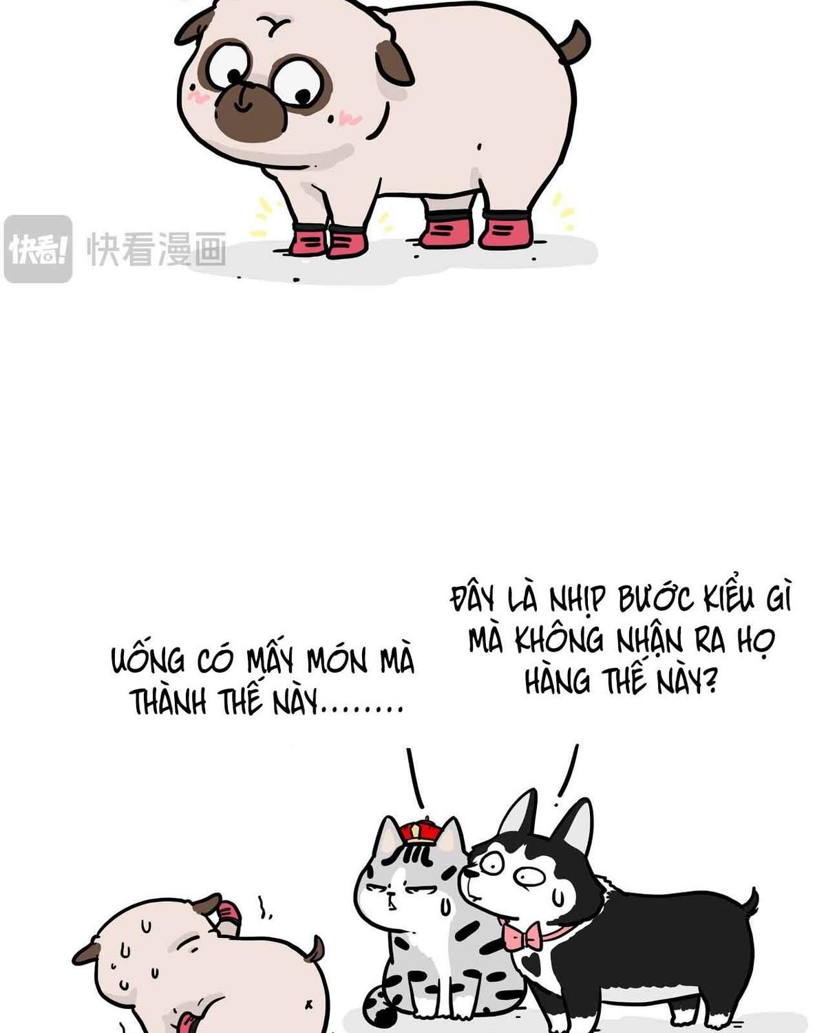 Hoàng Thượng và Ba Trát Hắc: Chapter 420