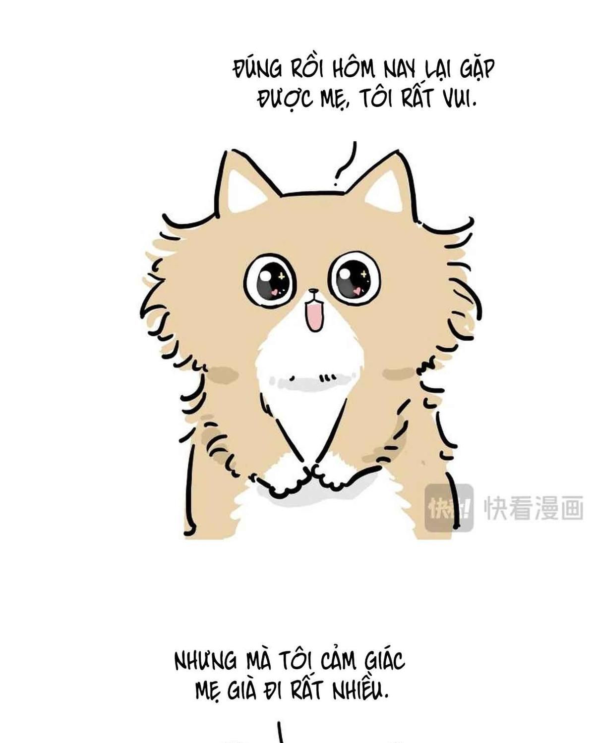 Hoàng Thượng và Ba Trát Hắc: Chapter 424