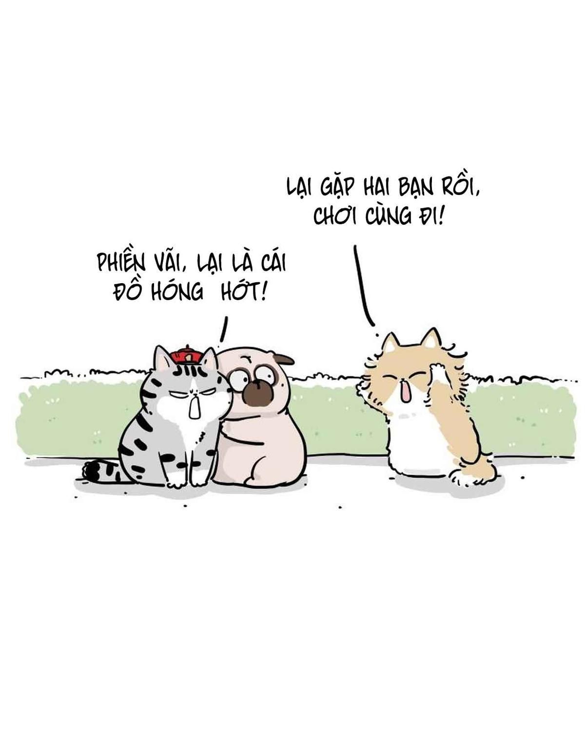 Hoàng Thượng và Ba Trát Hắc: Chapter 424