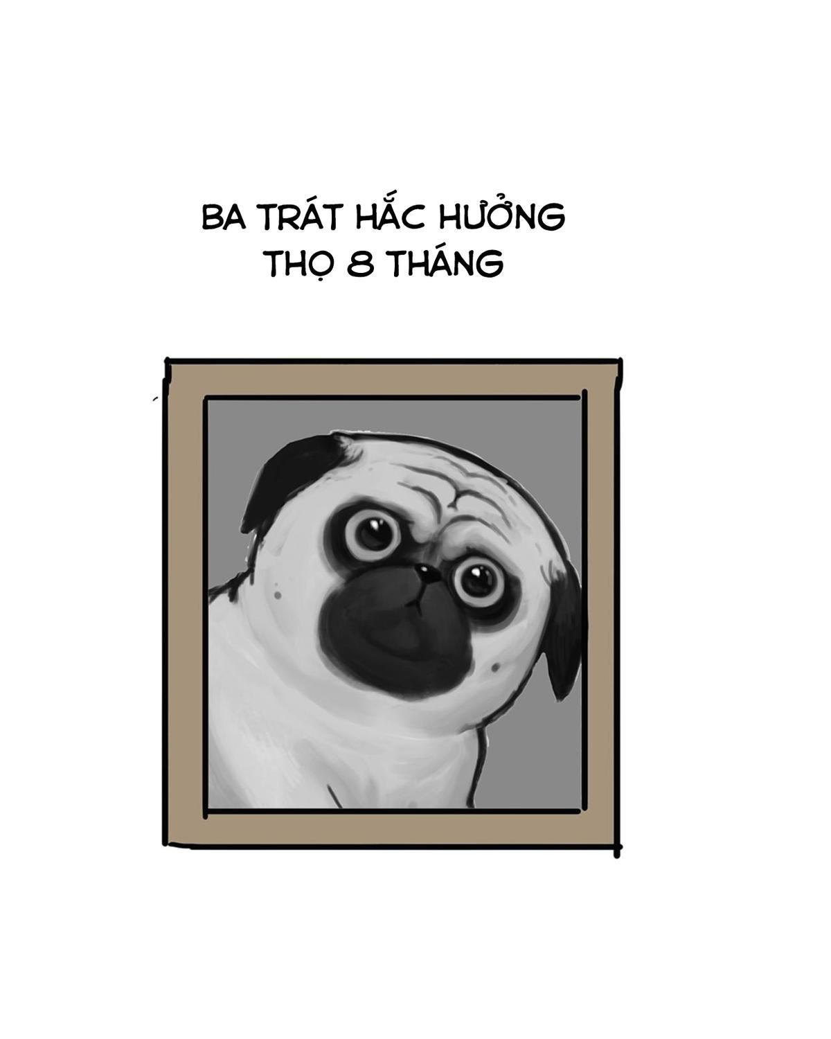 Hoàng Thượng và Ba Trát Hắc: Chapter 43