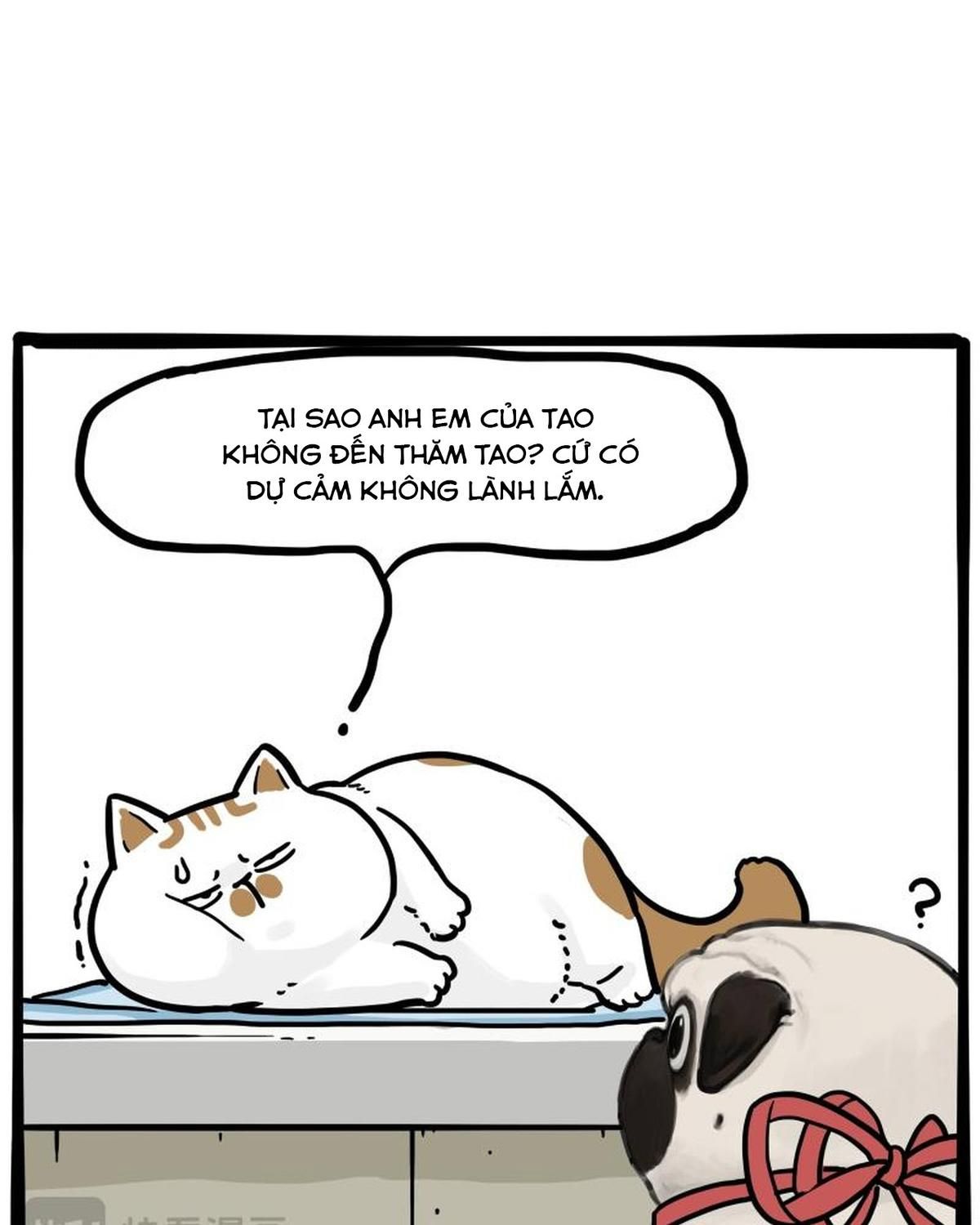 Hoàng Thượng và Ba Trát Hắc: Chapter 443