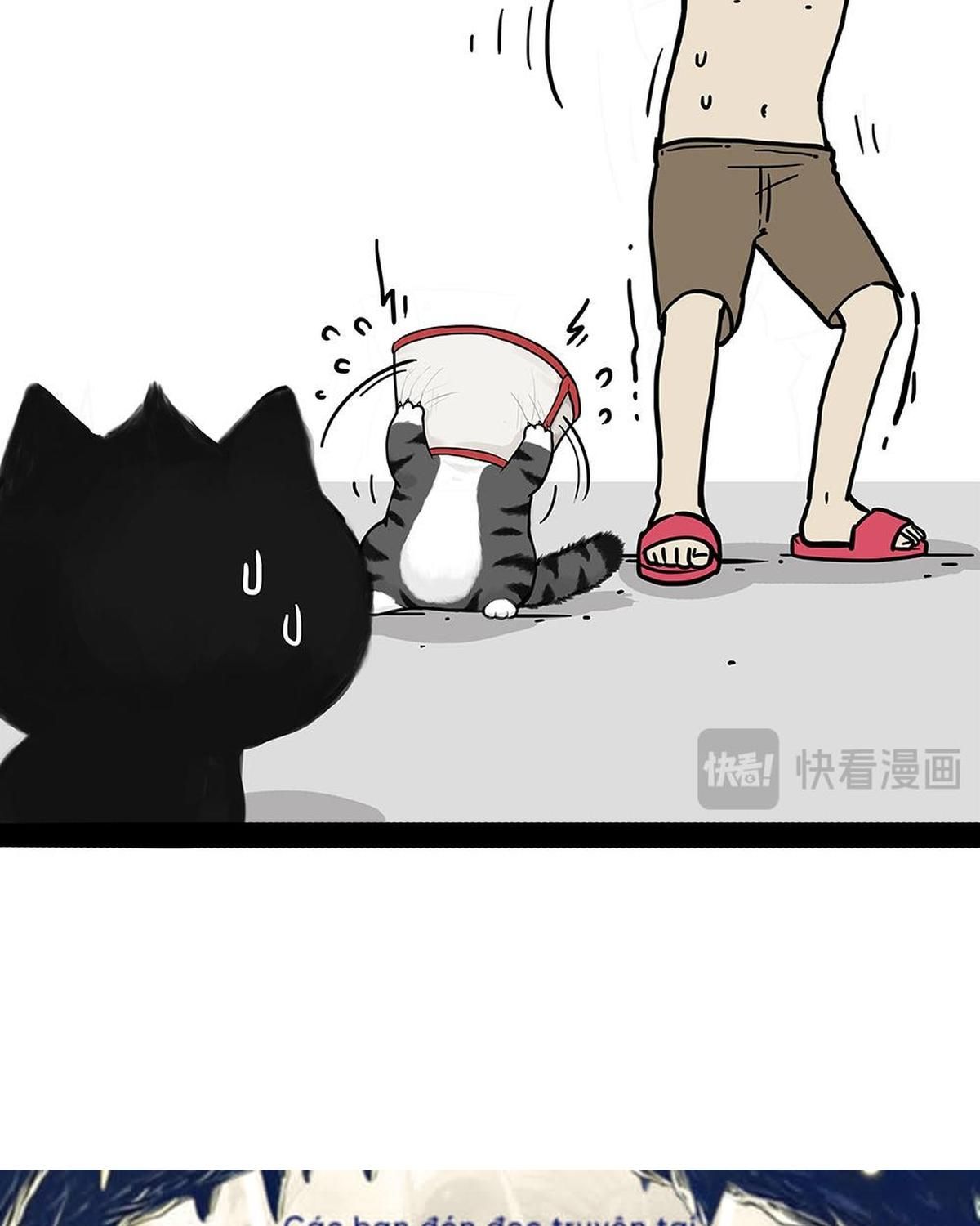 Hoàng Thượng và Ba Trát Hắc: Chapter 451