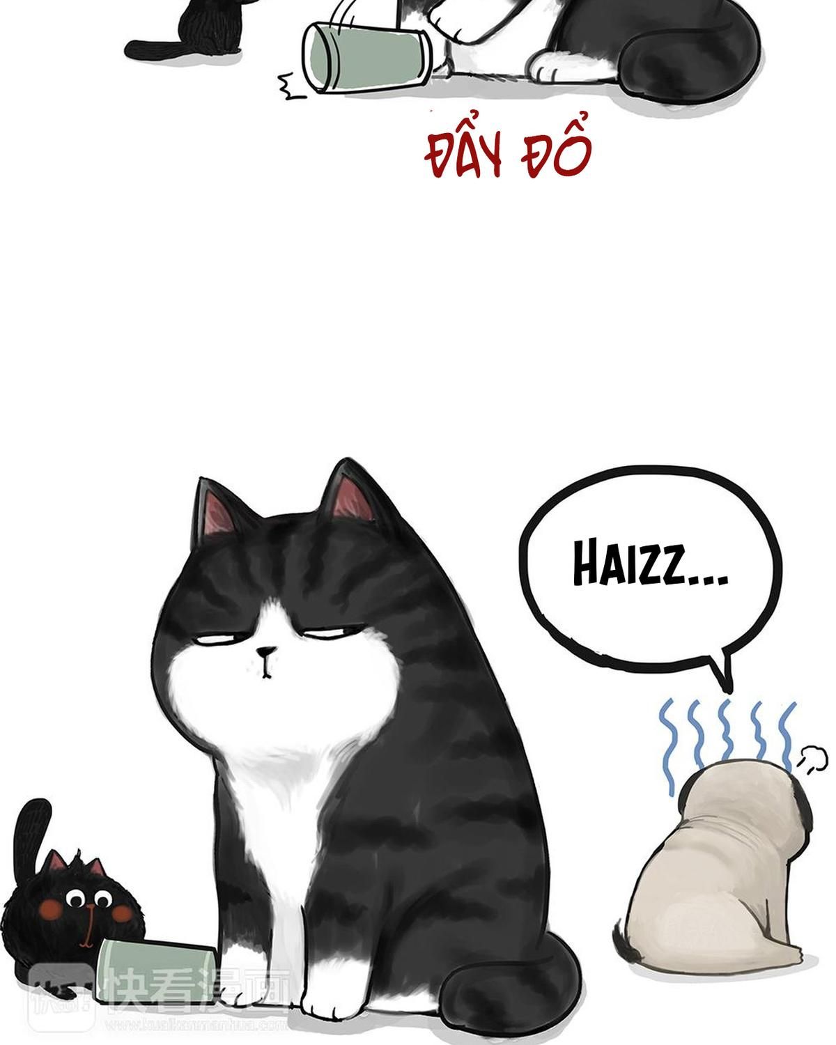 Hoàng Thượng và Ba Trát Hắc: Chapter 49