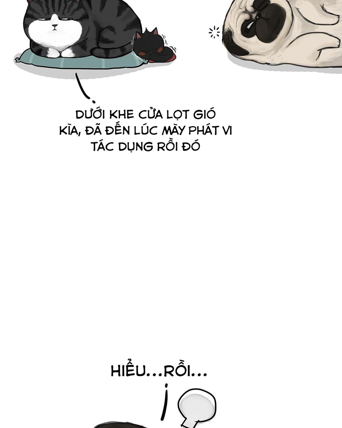 Hoàng Thượng và Ba Trát Hắc: Chapter 51