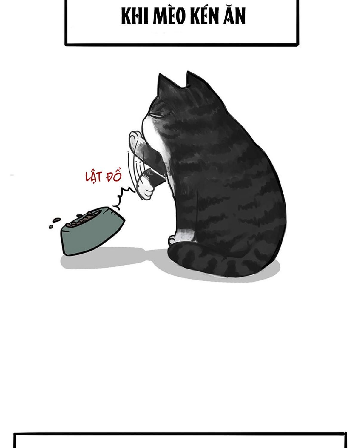 Hoàng Thượng và Ba Trát Hắc: Chapter 51