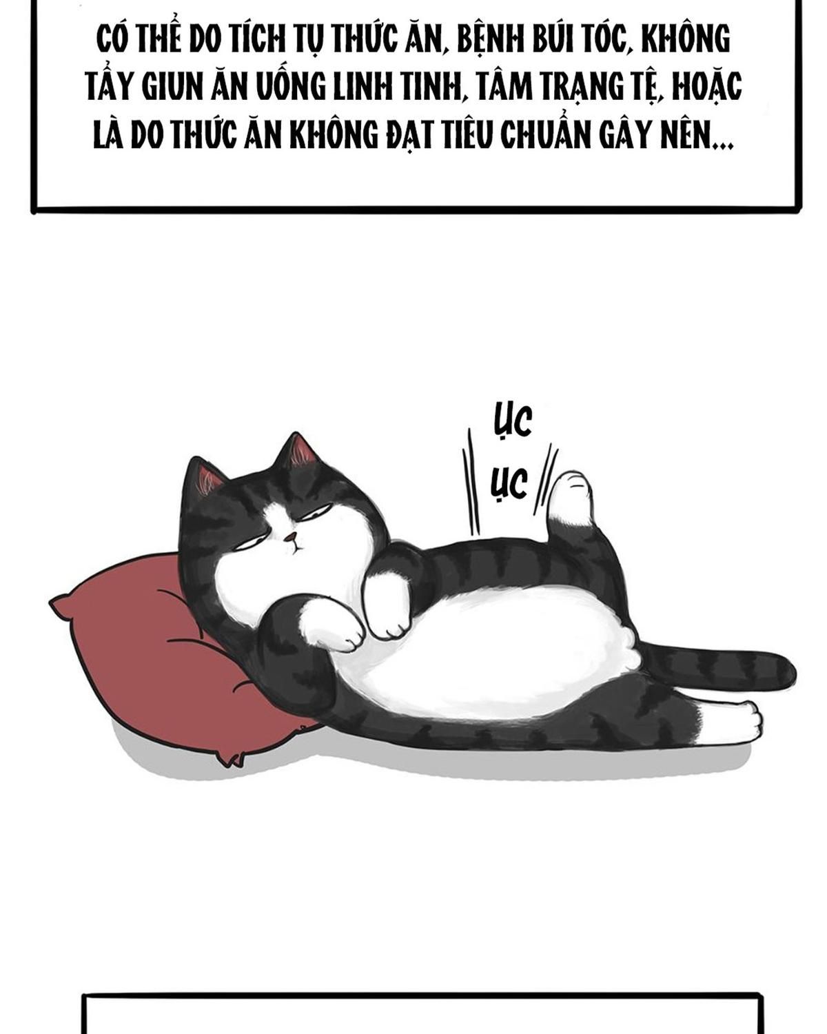 Hoàng Thượng và Ba Trát Hắc: Chapter 51