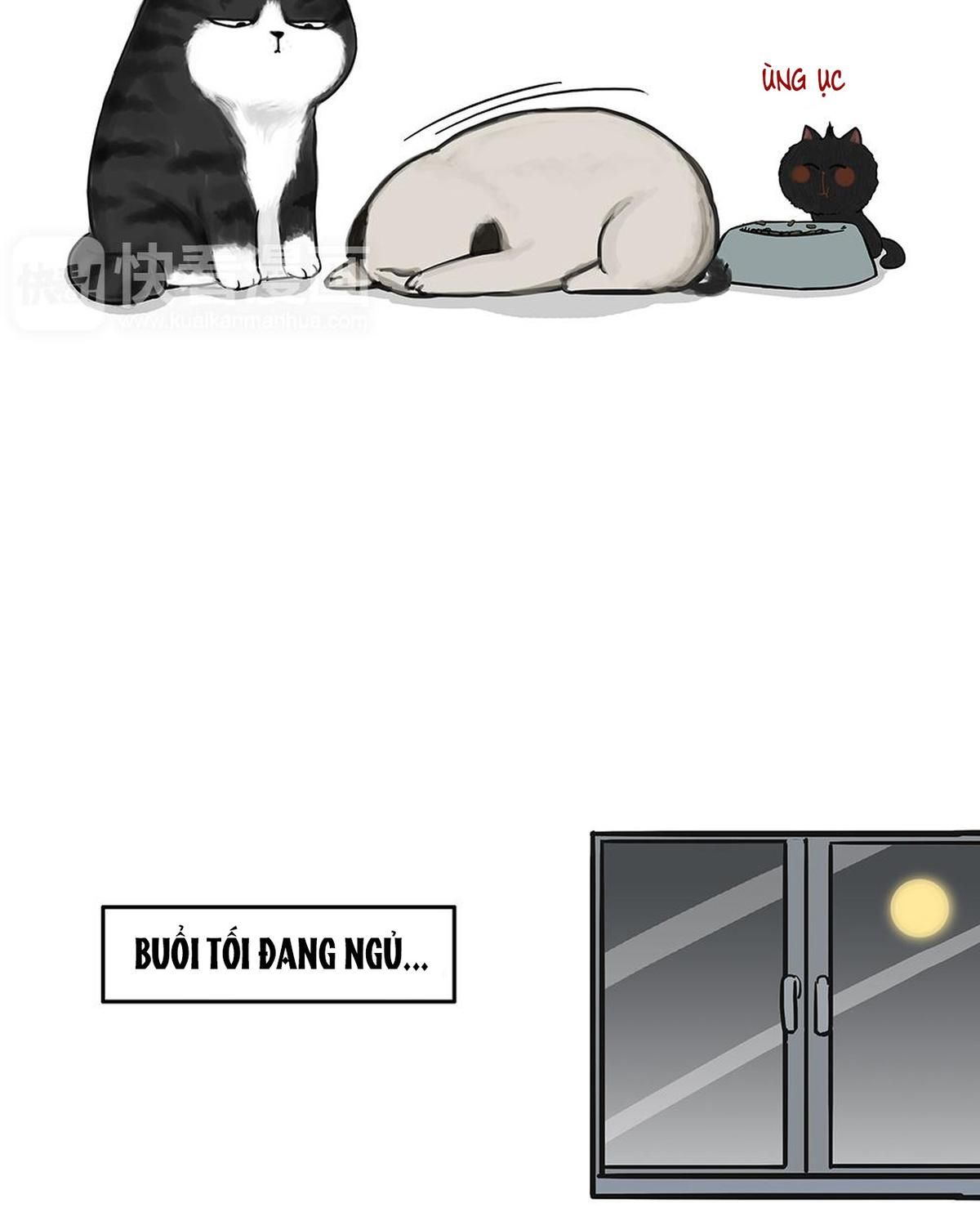 Hoàng Thượng và Ba Trát Hắc: Chapter 51