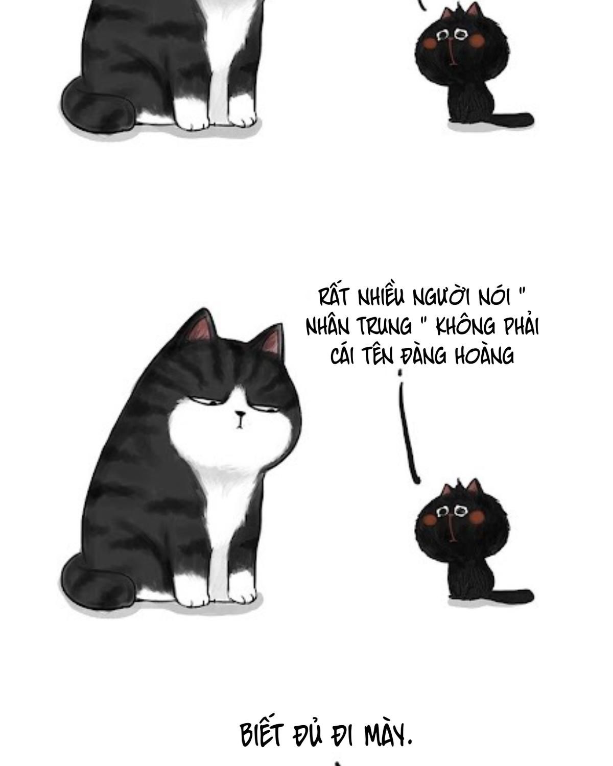 Hoàng Thượng và Ba Trát Hắc: Chapter 53