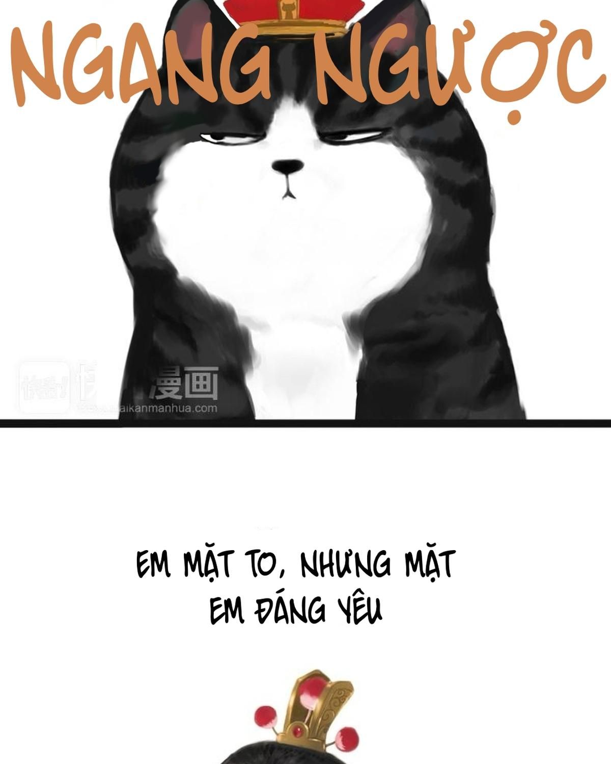 Hoàng Thượng và Ba Trát Hắc: Chapter 53