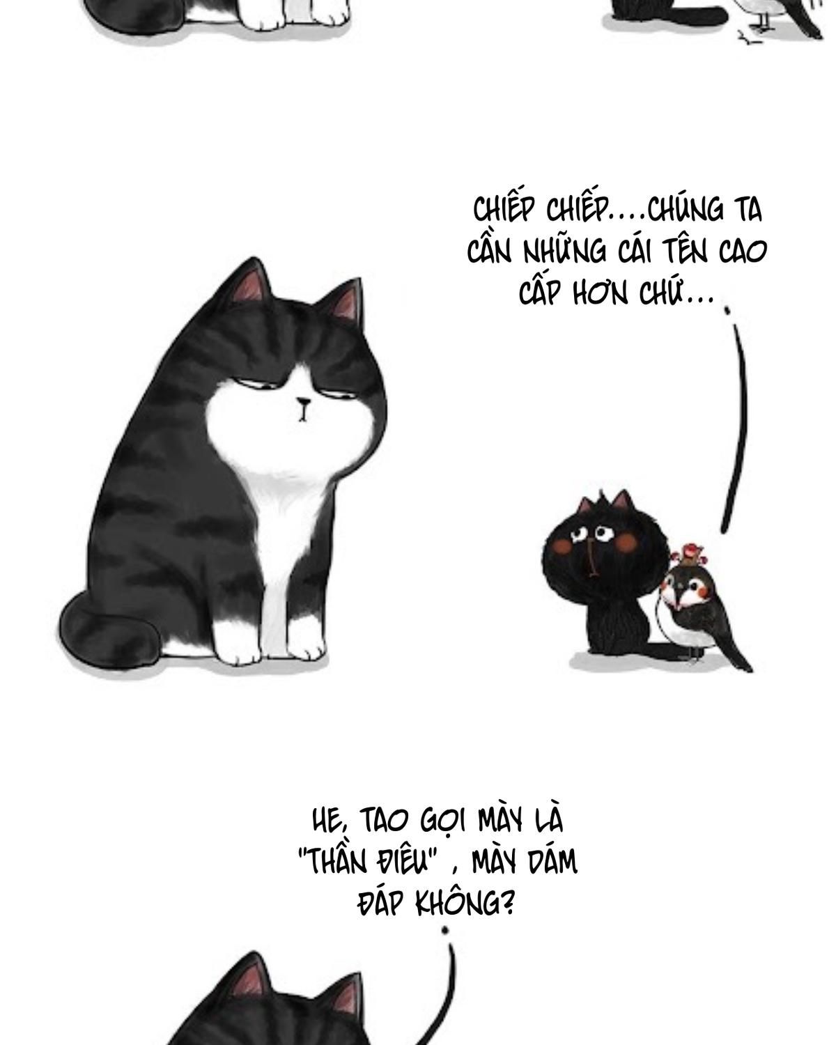 Hoàng Thượng và Ba Trát Hắc: Chapter 53