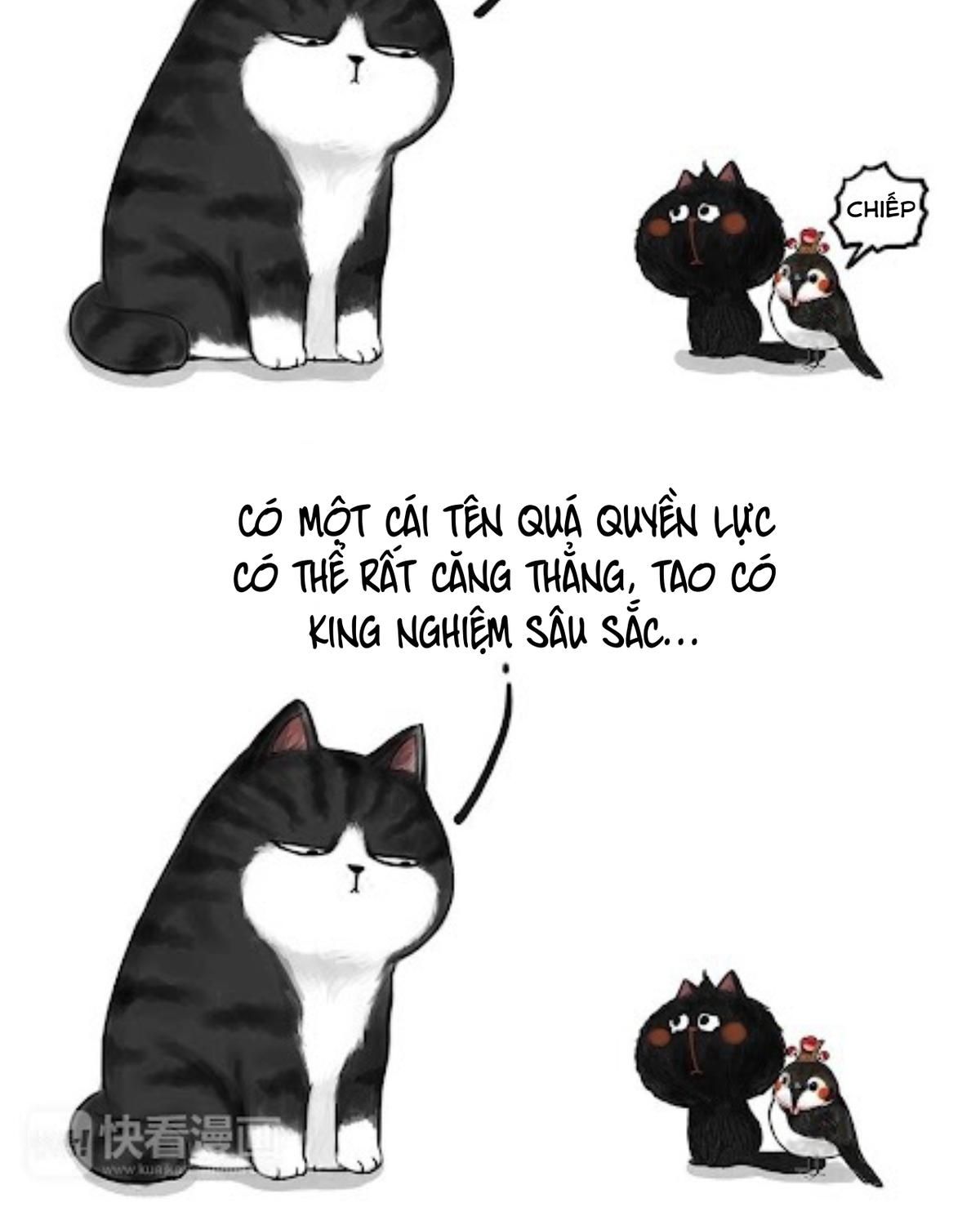 Hoàng Thượng và Ba Trát Hắc: Chapter 53