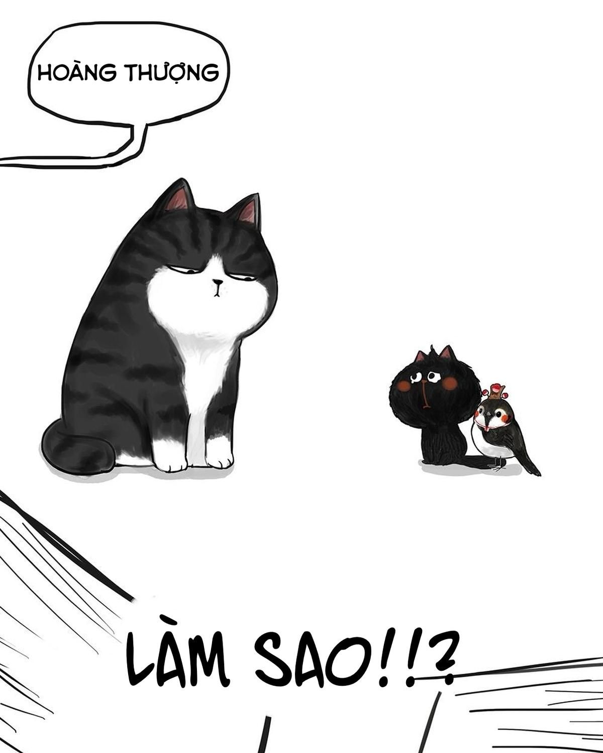 Hoàng Thượng và Ba Trát Hắc: Chapter 53