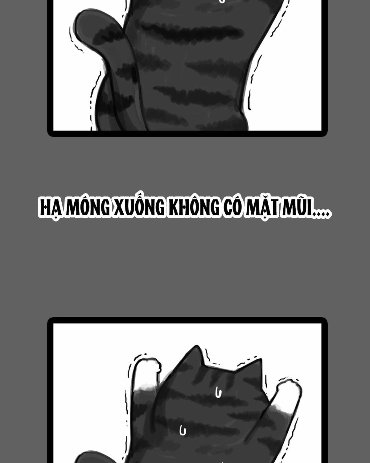 Hoàng Thượng và Ba Trát Hắc: Chapter 55