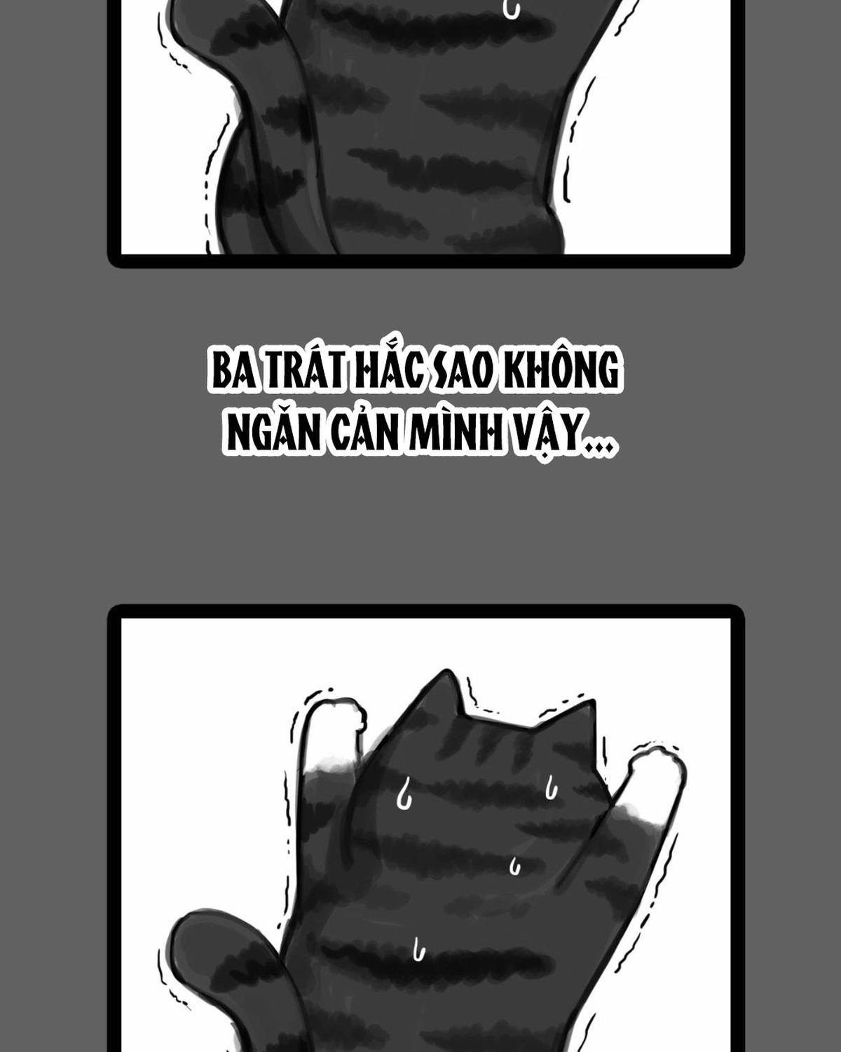 Hoàng Thượng và Ba Trát Hắc: Chapter 55