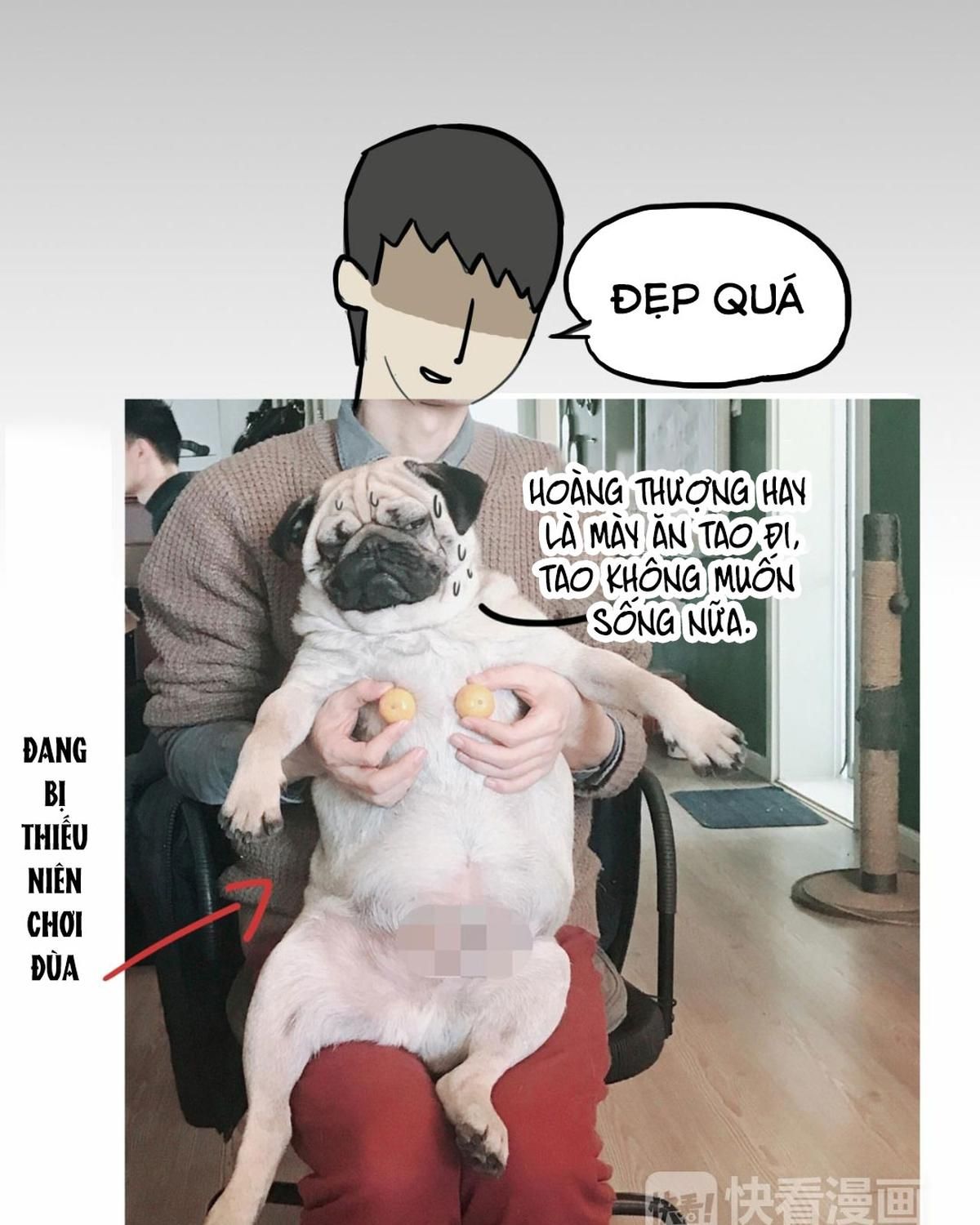 Hoàng Thượng và Ba Trát Hắc: Chapter 55