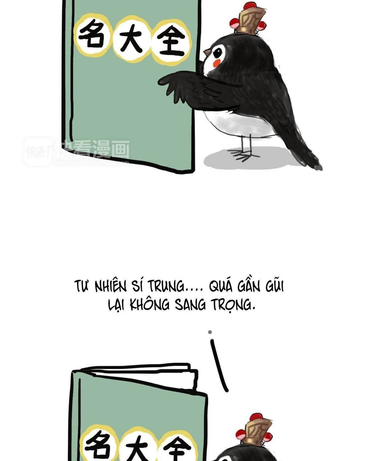 Hoàng Thượng và Ba Trát Hắc: Chapter 55