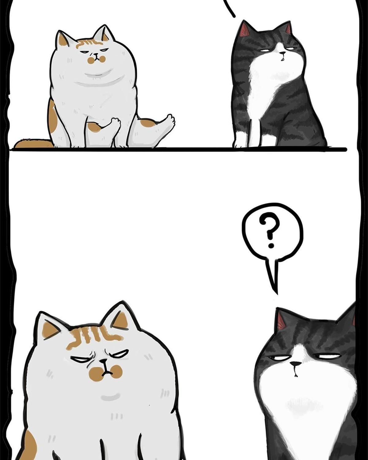 Hoàng Thượng và Ba Trát Hắc: Chapter 58