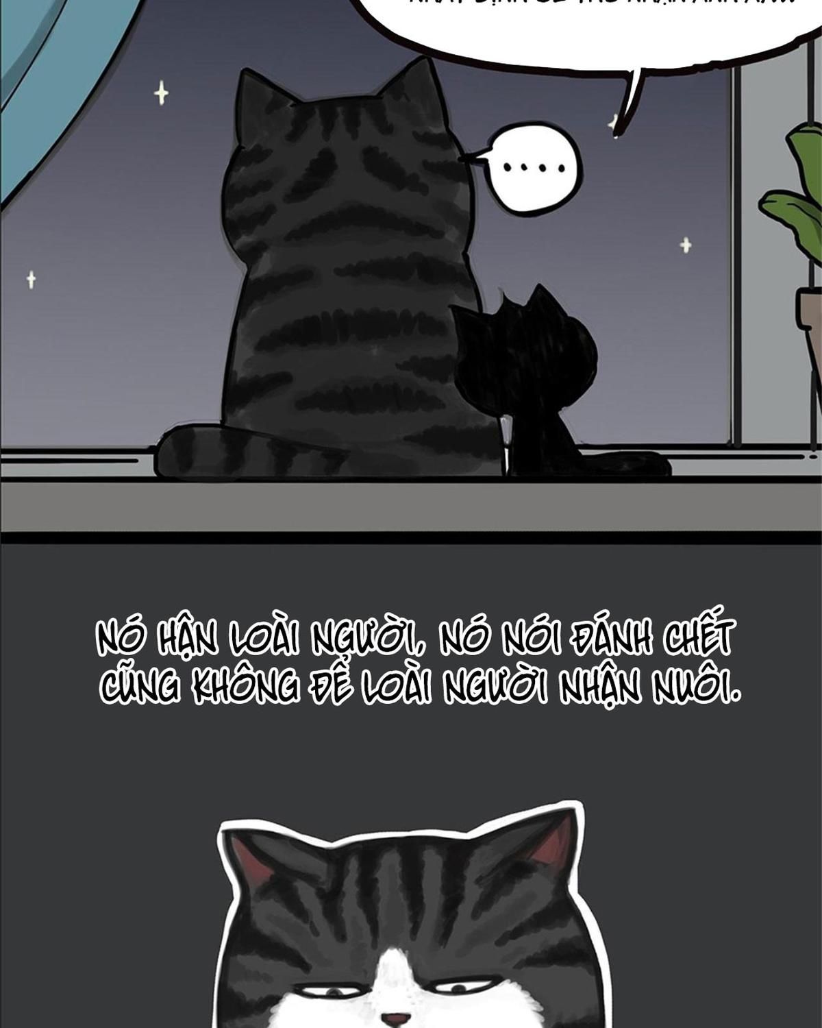 Hoàng Thượng và Ba Trát Hắc: Chapter 58