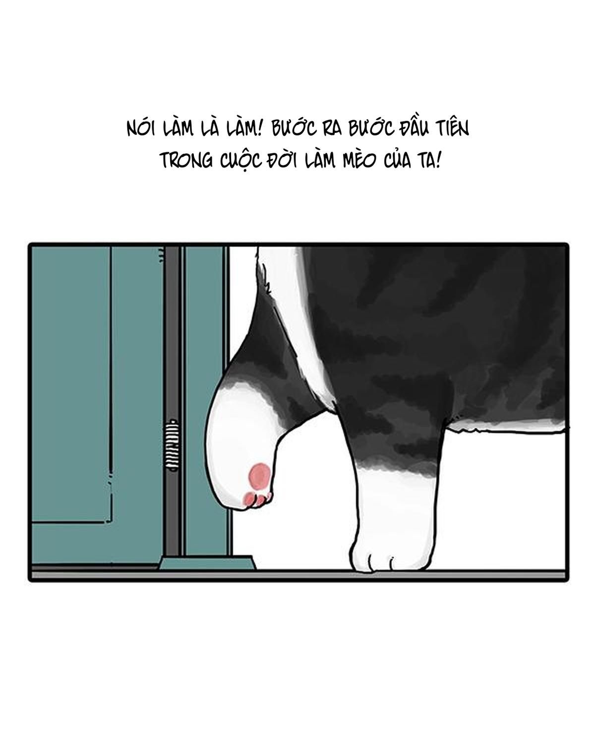 Hoàng Thượng và Ba Trát Hắc: Chapter 71