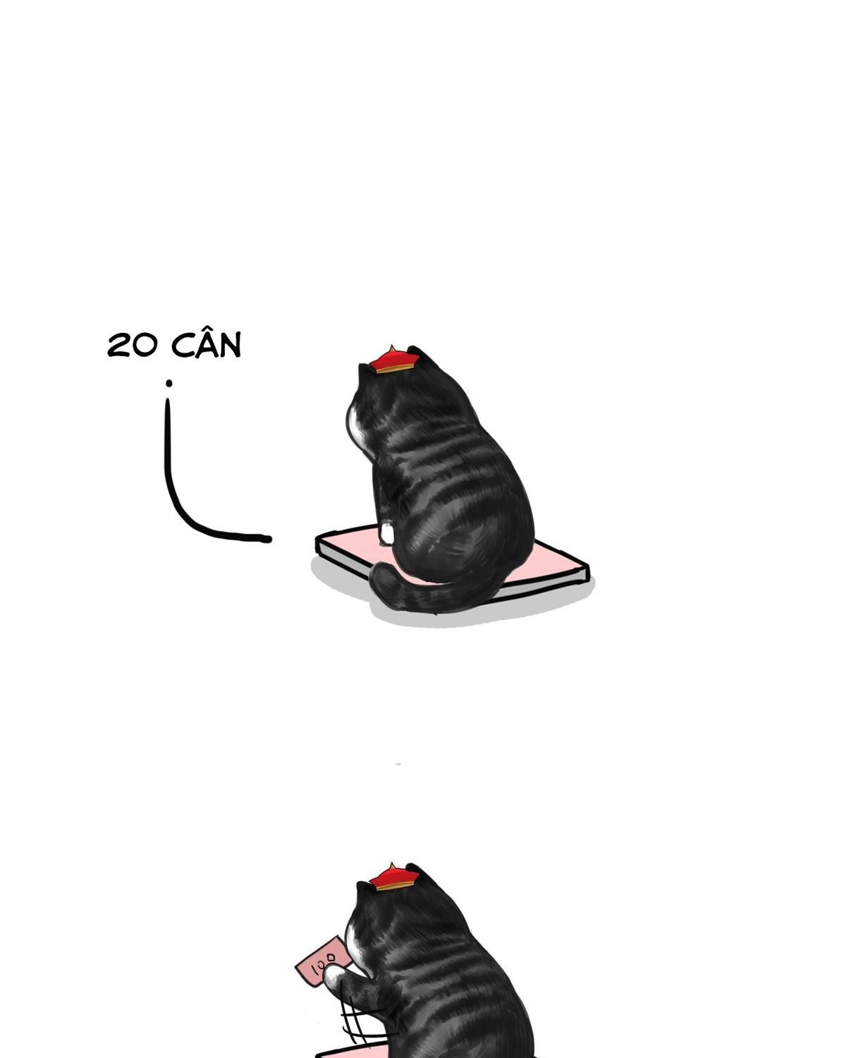 Hoàng Thượng và Ba Trát Hắc: Chapter 74