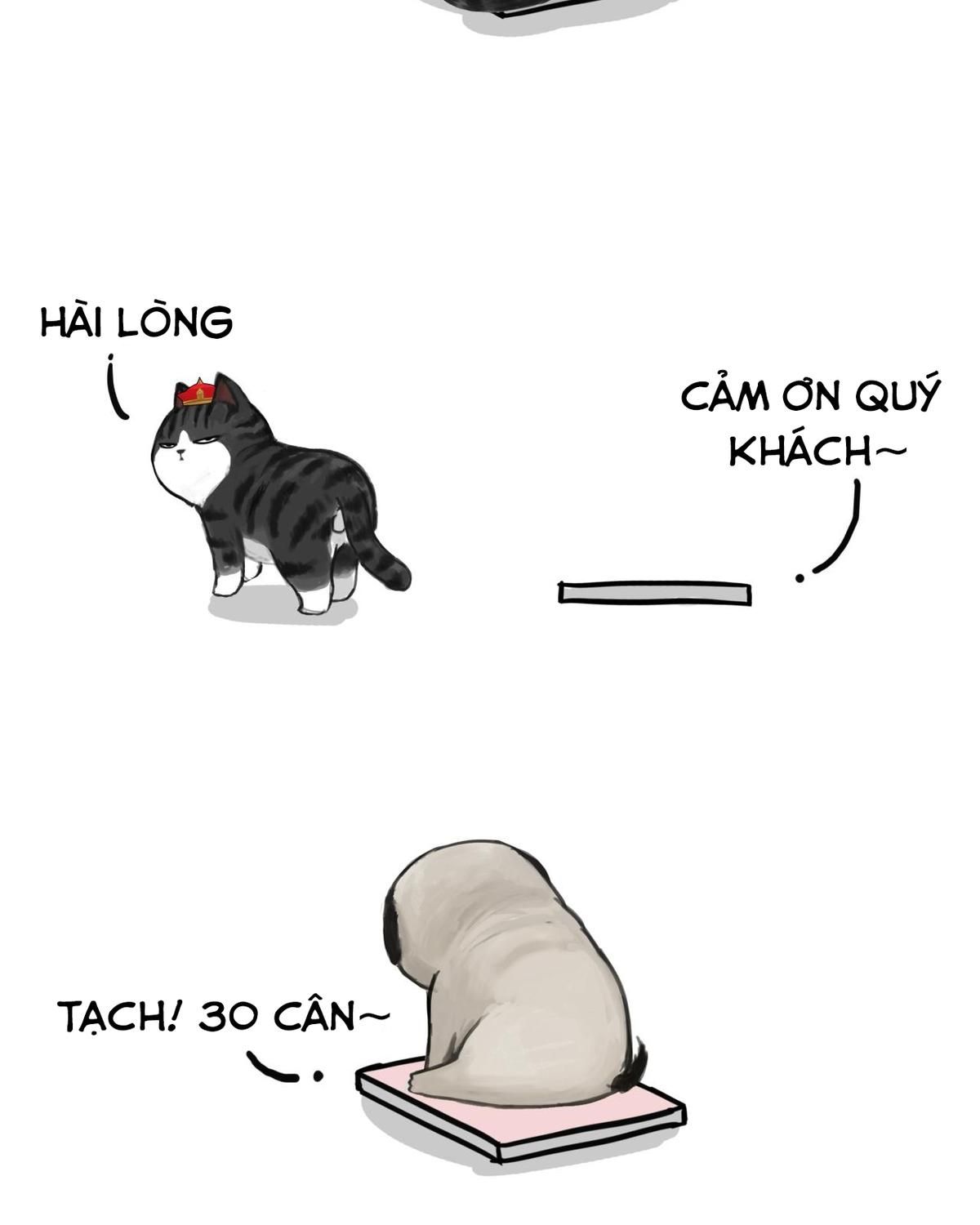 Hoàng Thượng và Ba Trát Hắc: Chapter 74