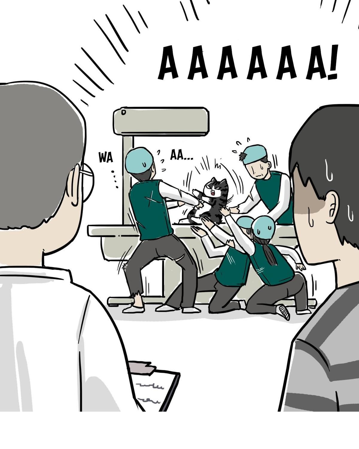 Hoàng Thượng và Ba Trát Hắc: Chapter 79