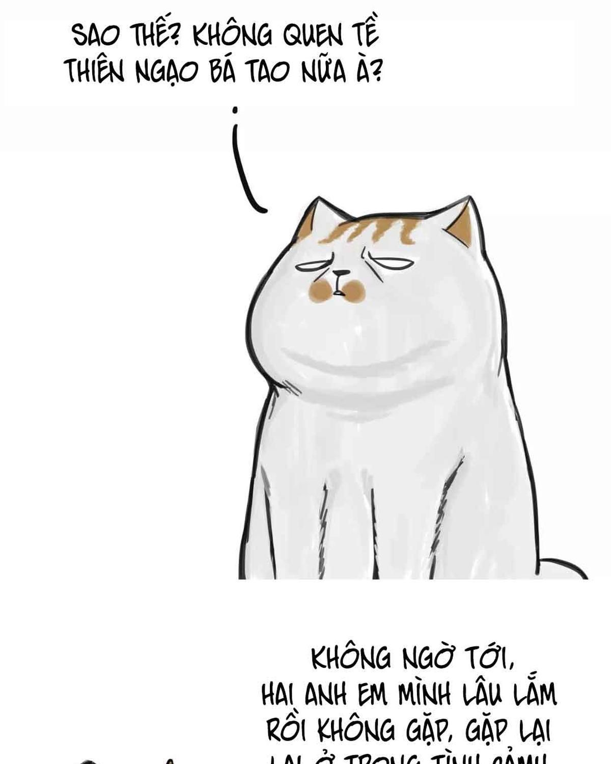 Hoàng Thượng và Ba Trát Hắc: Chapter 90