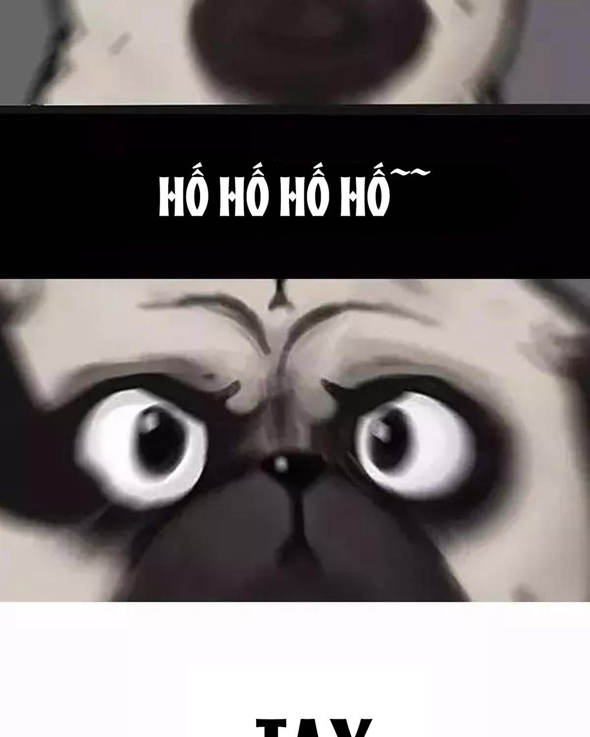 Hoàng Thượng và Ba Trát Hắc: Chapter 97