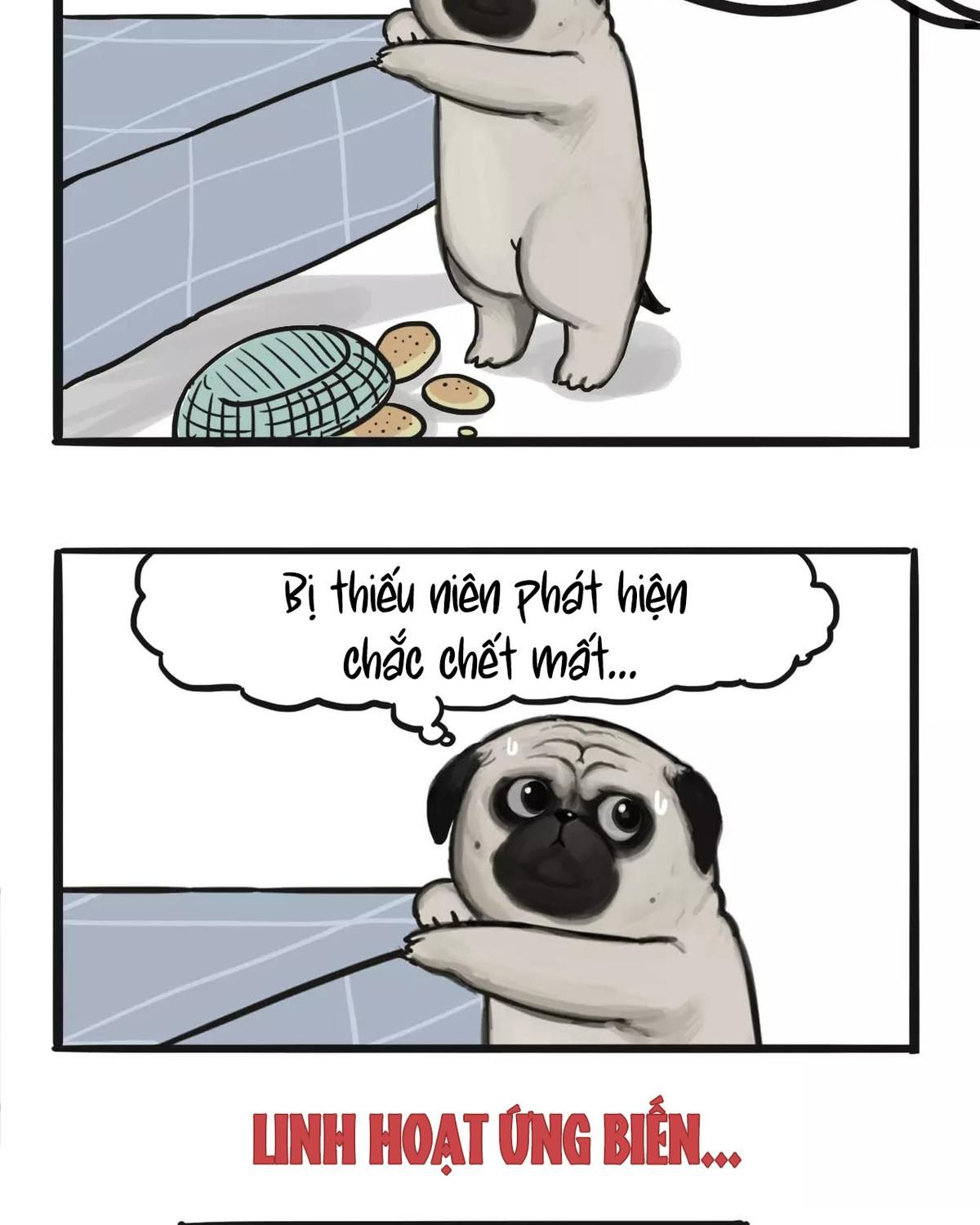 Hoàng Thượng và Ba Trát Hắc: Chapter 97