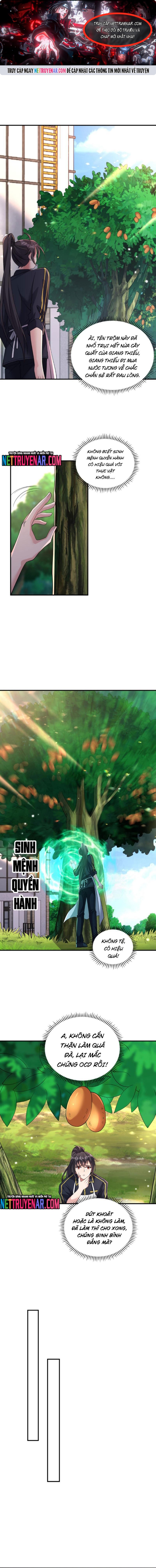Học Cùng Em Gái, Không Cẩn Thận Trở Thành Vô Địch: Chapter 184