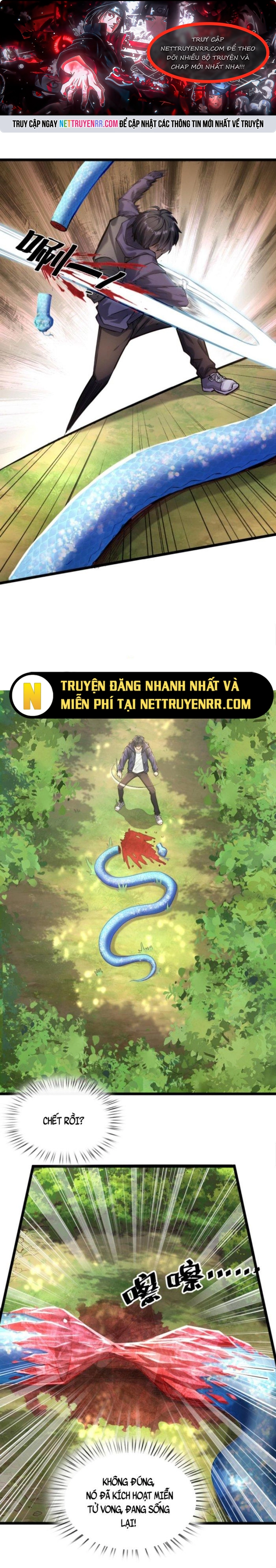 Học Cùng Em Gái, Không Cẩn Thận Trở Thành Vô Địch: Chapter 8