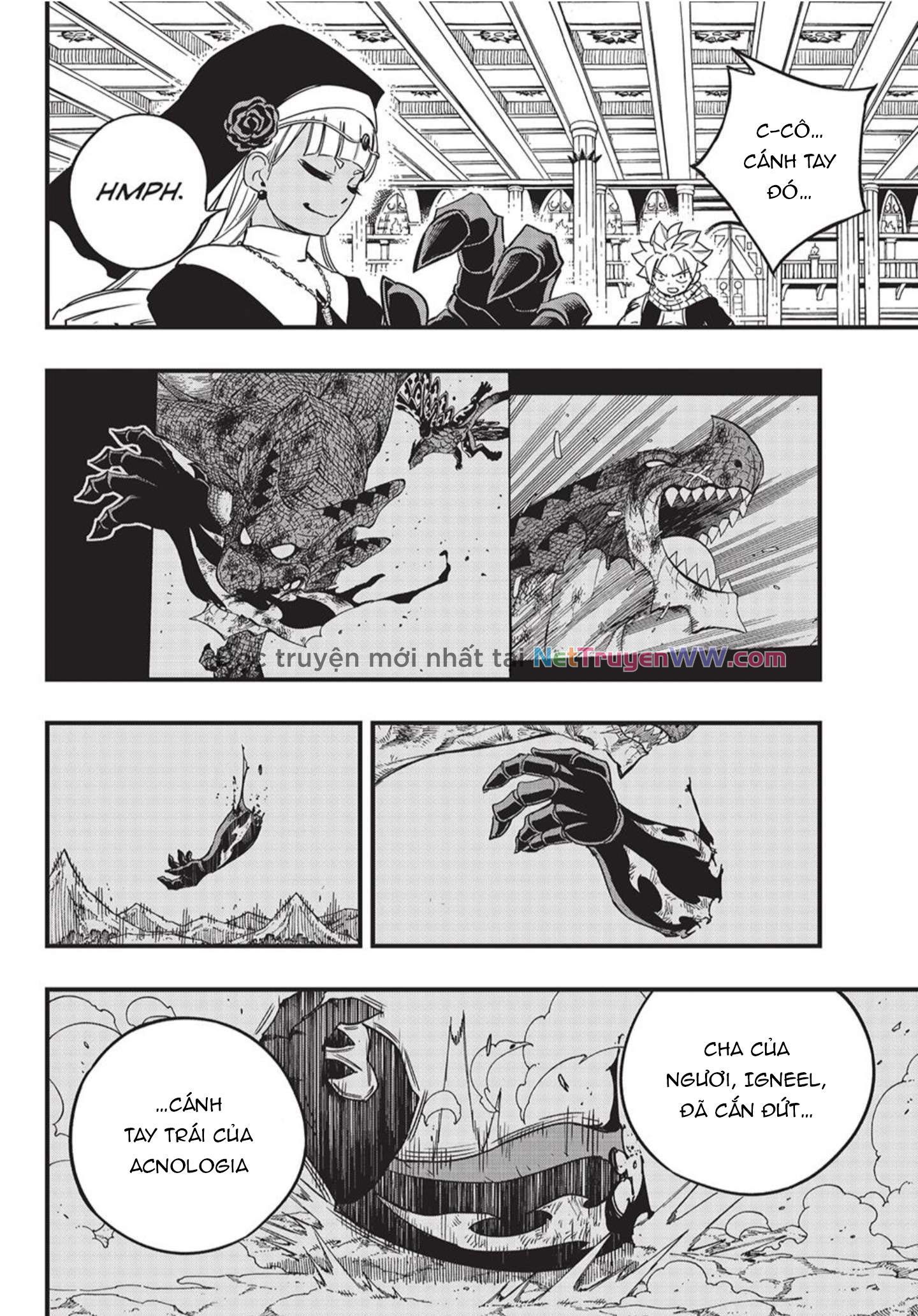 Hội Pháp Sư: Nhiệm Vụ 100 Năm: Chapter 163.8