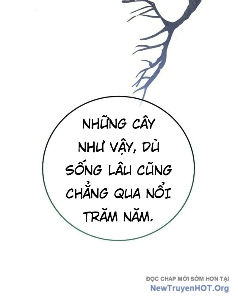 Hồi Sinh Huyết Mạch Nam Cung: Chapter 20