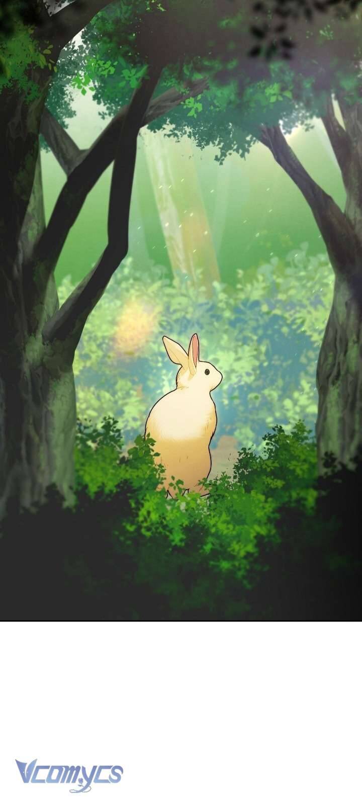 Hôn Nhân Vụ Lợi 2: Bản Tình Ca Không Thể Quên: Chapter 1