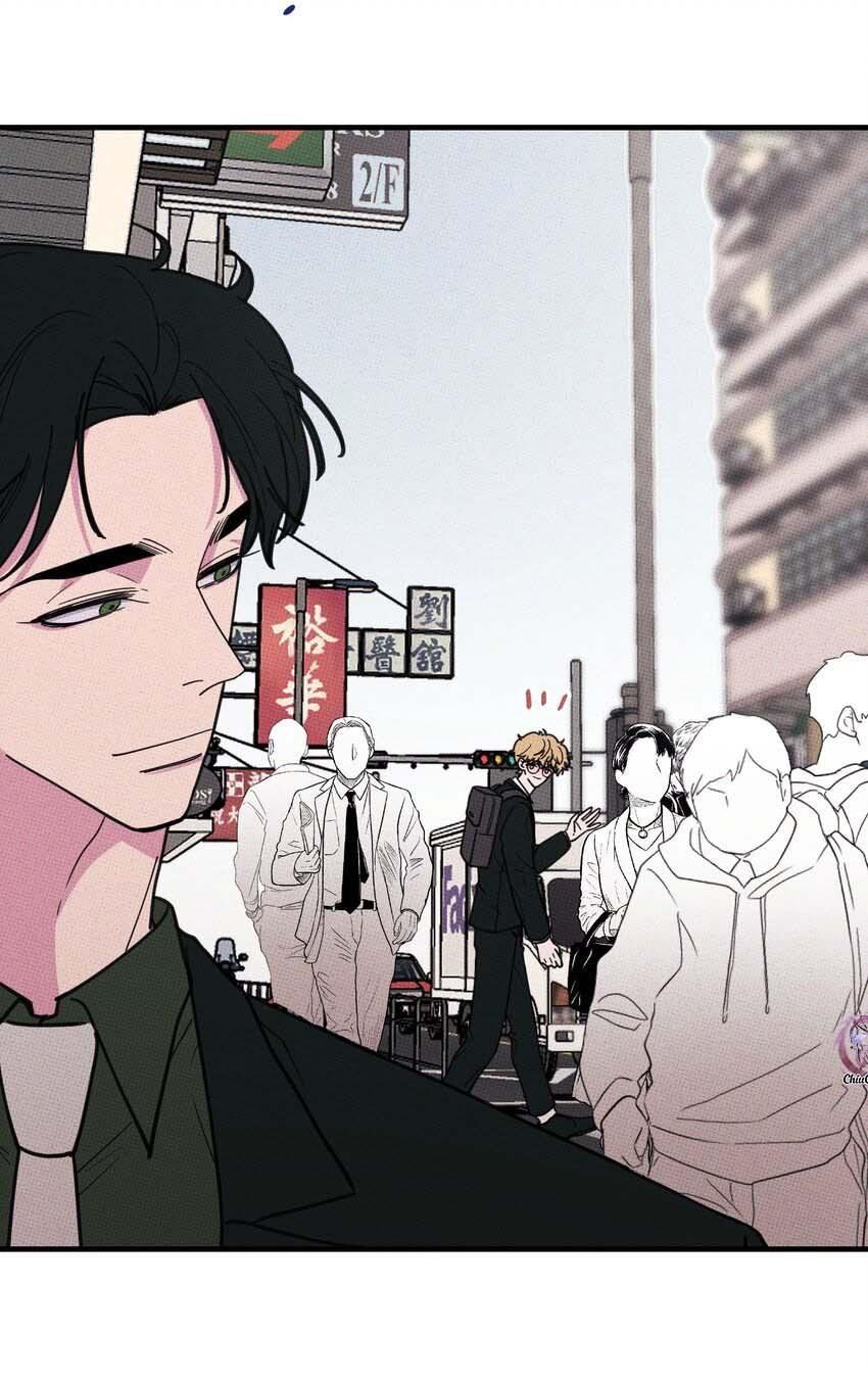 Hộp Bánh Quy Định Mệnh: Chapter 12