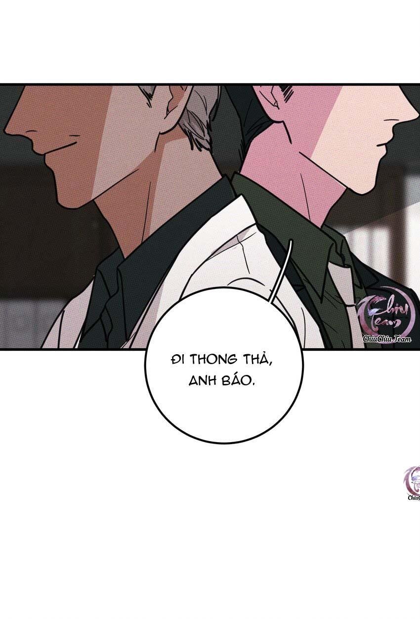 Hộp Bánh Quy Định Mệnh: Chapter 12