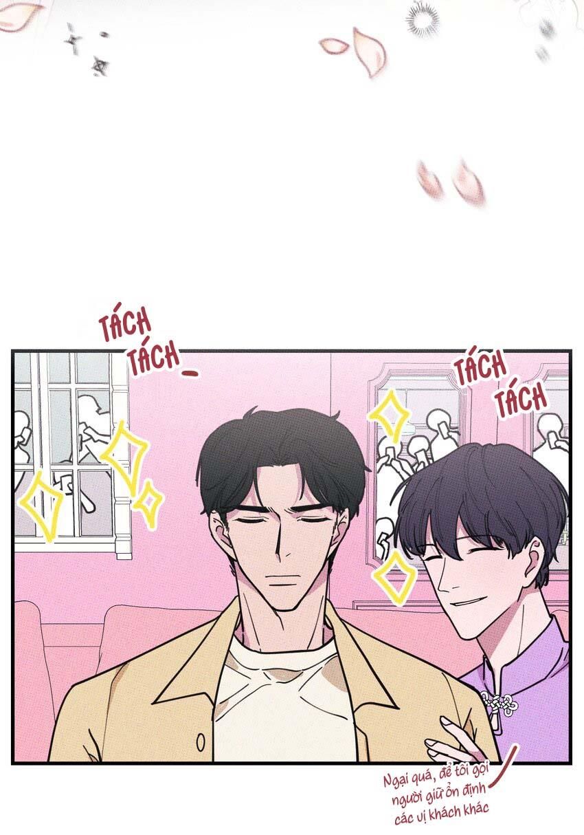 Hộp Bánh Quy Định Mệnh: Chapter 15