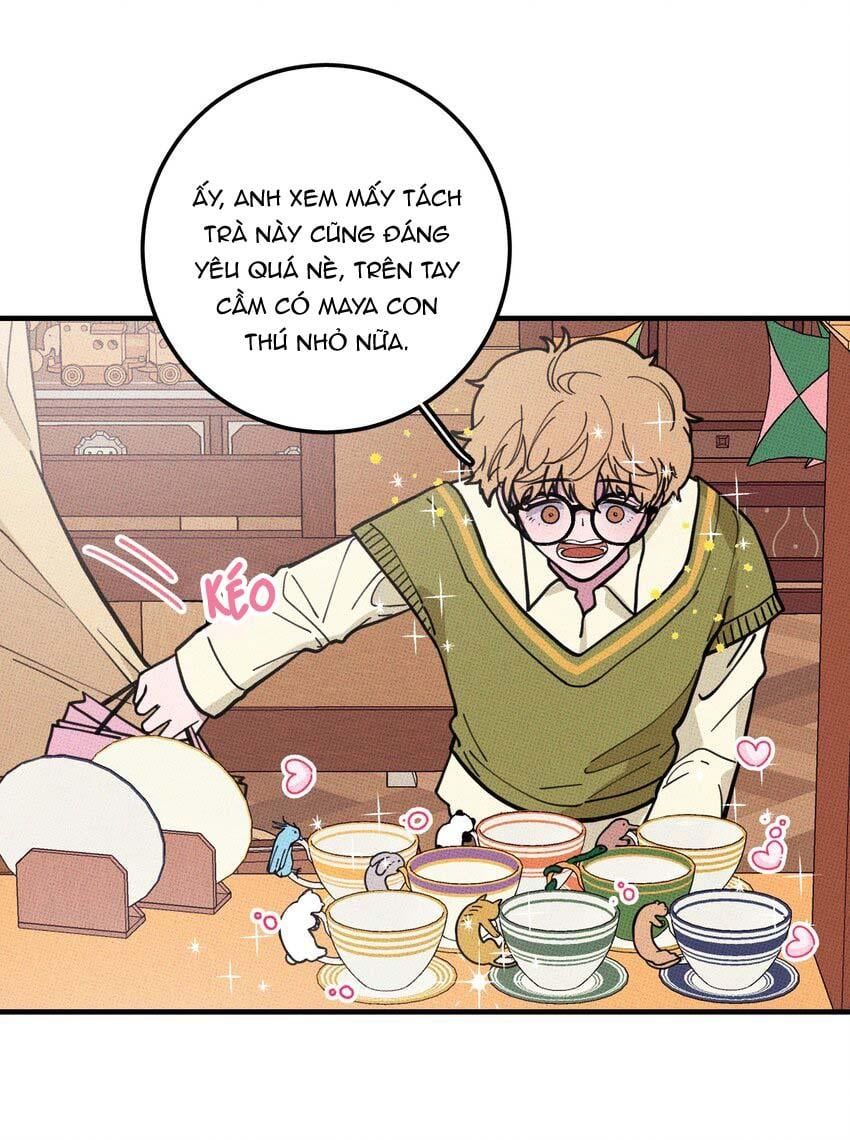 Hộp Bánh Quy Định Mệnh: Chapter 16