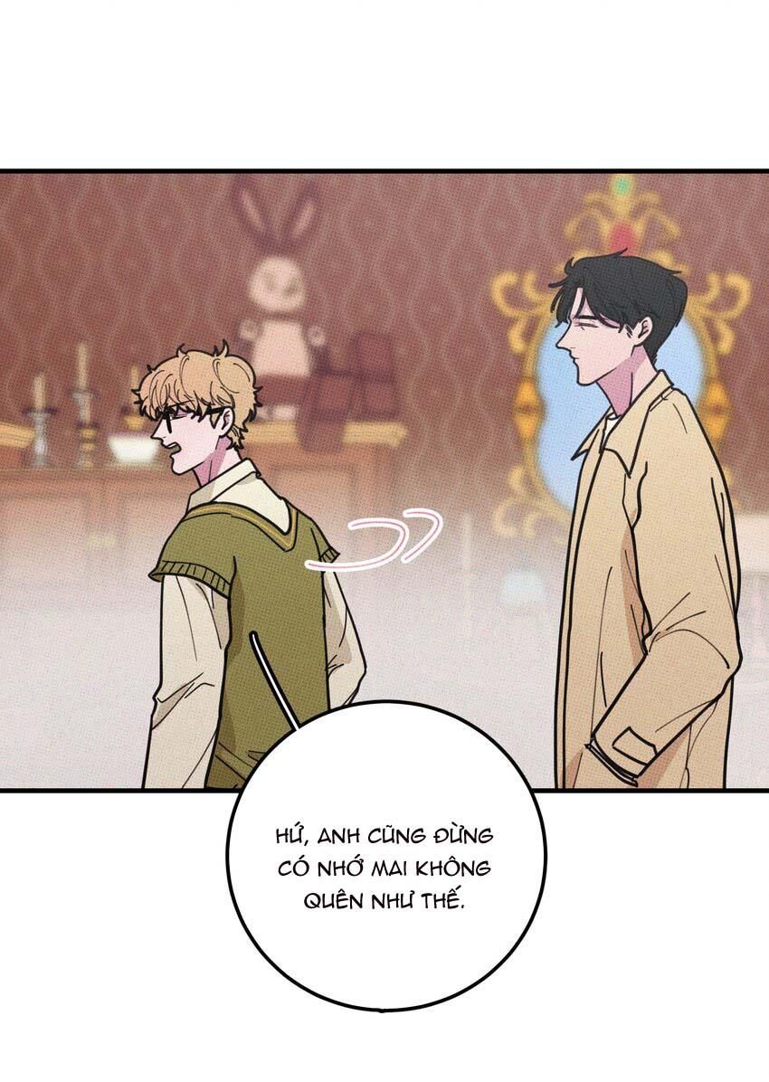 Hộp Bánh Quy Định Mệnh: Chapter 16