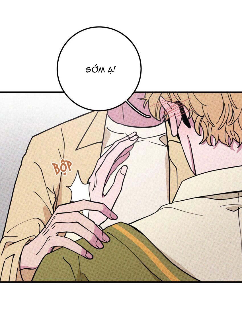 Hộp Bánh Quy Định Mệnh: Chapter 16