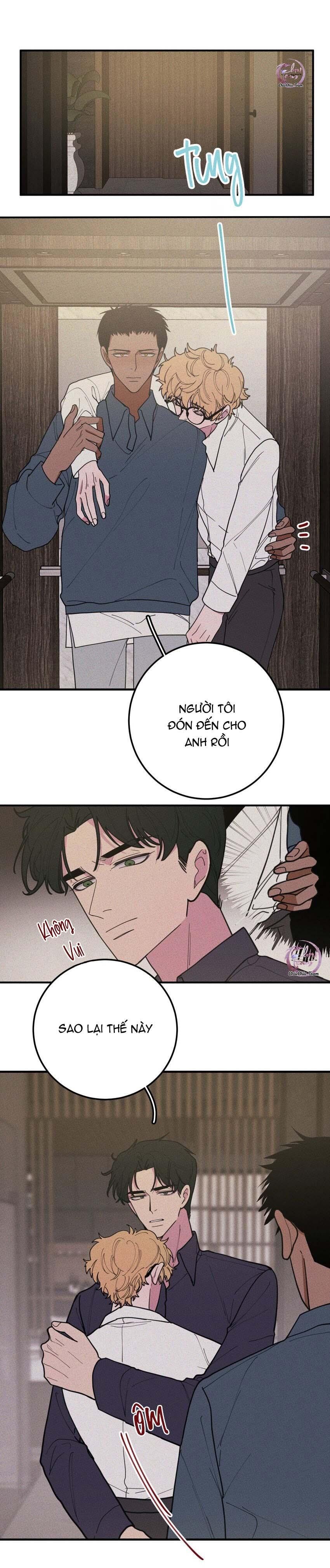 Hộp Bánh Quy Định Mệnh: Chapter 37