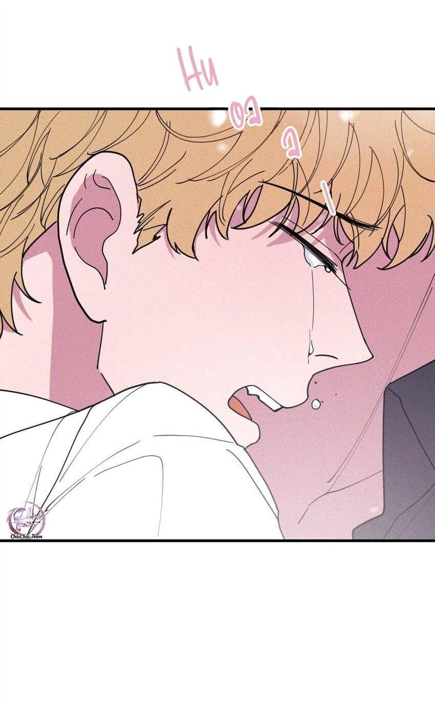 Hộp Bánh Quy Định Mệnh: Chapter 37