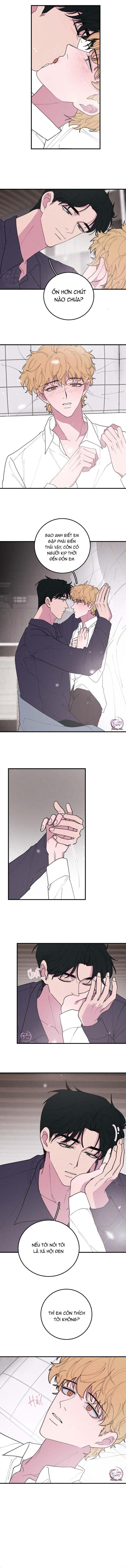 Hộp Bánh Quy Định Mệnh: Chapter 37